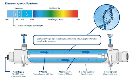 Ultraviolet Treatment